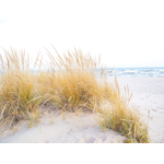 North Coast Mla Jennifer Rice logo