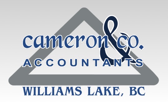 Cameron & Company logo