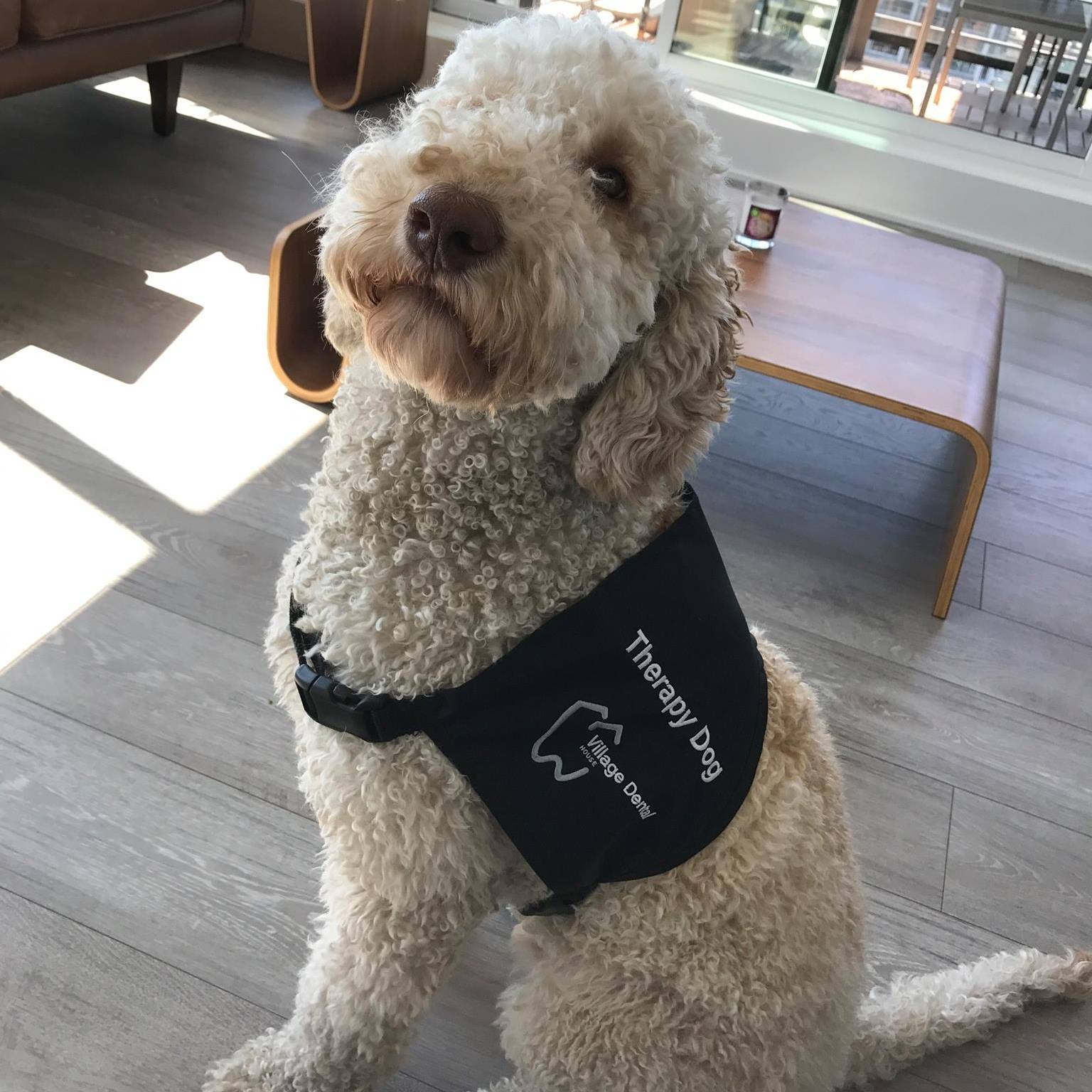 Village Dental House Sechelt, BC British Columbia Local