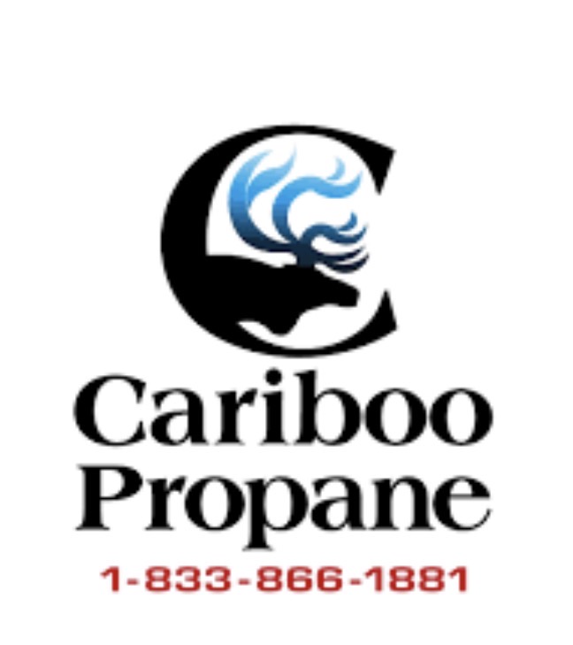 Best Buy Propane Ltd logo