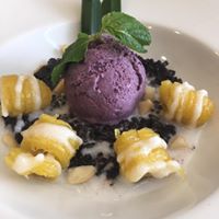 Terrace Bus Terminal logo