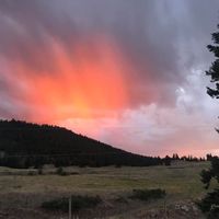 Bobtail Ranch Ltd logo