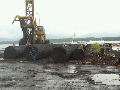 North Coast Log Handling Ltd logo