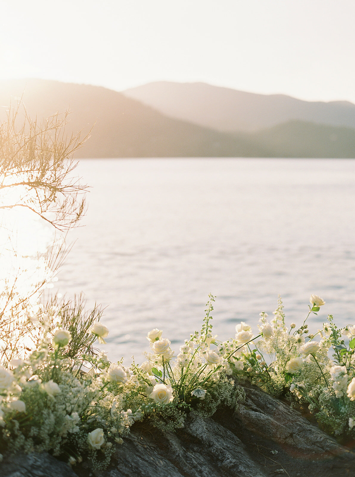 Within the Flowers logo