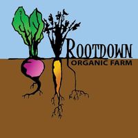 Rootdown Organic Farm logo
