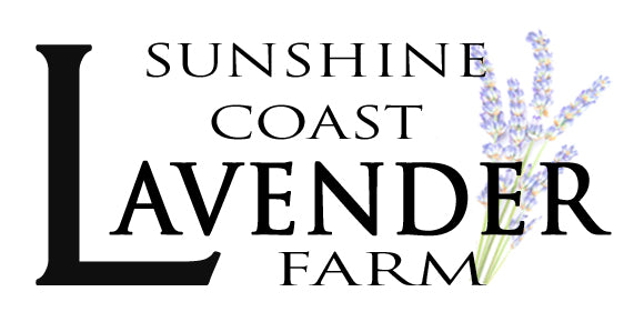 Sunshine Coast Lavender Shop logo