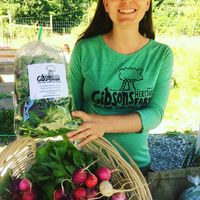 Gibsons Farm logo