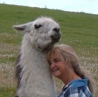 The Llama Sanctuary logo