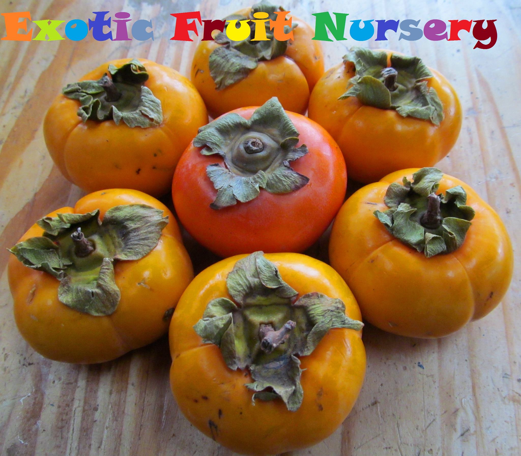 Exotic Fruit Nursery Roberts Creek, BC British Columbia Local