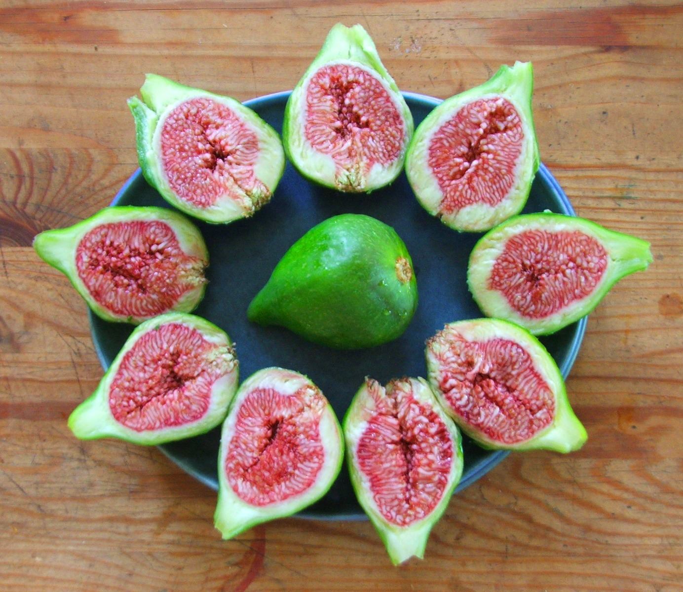 Exotic Fruit Nursery Roberts Creek, BC British Columbia Local