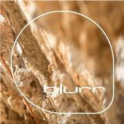 Photo uploaded by Blurr Design Inc